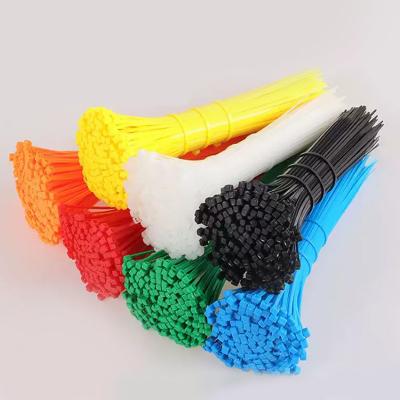 Nylon Cable Tie